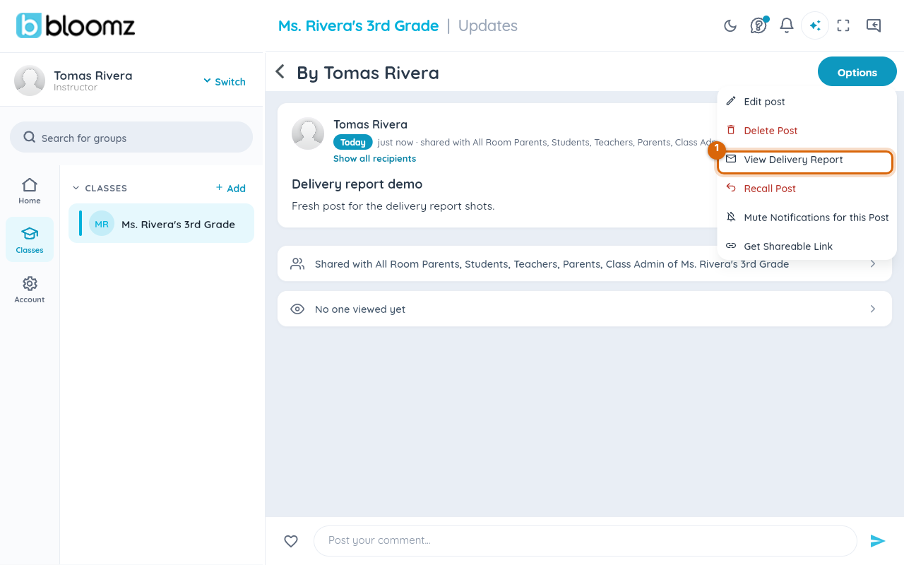 A sent post's options menu with View Delivery Report among the choices