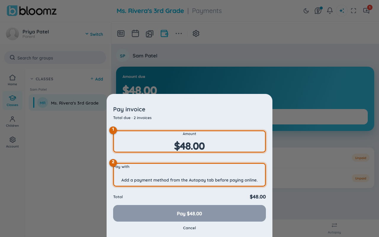 The pay sheet showing the amount due and the Pay with section