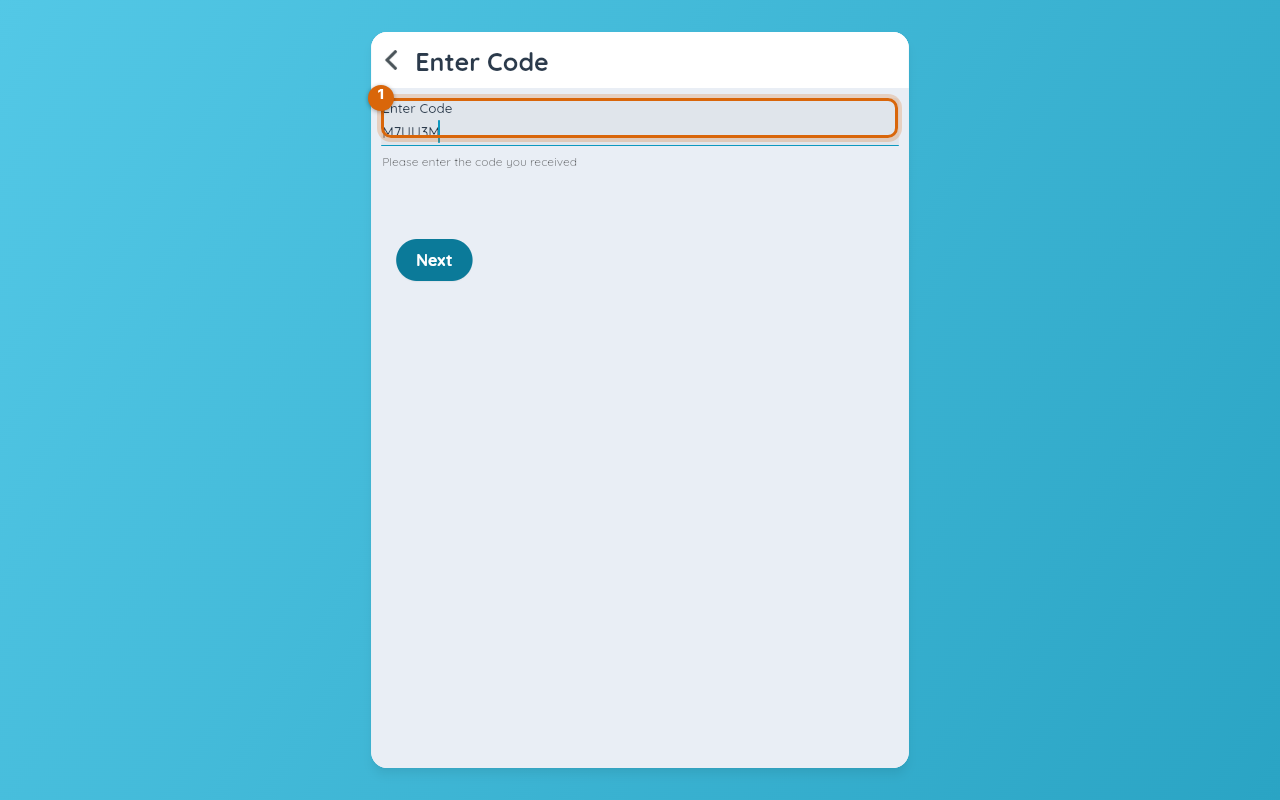 The Enter Code screen on the web, showing only a plain code field — there is no Scan QR Code option on web
